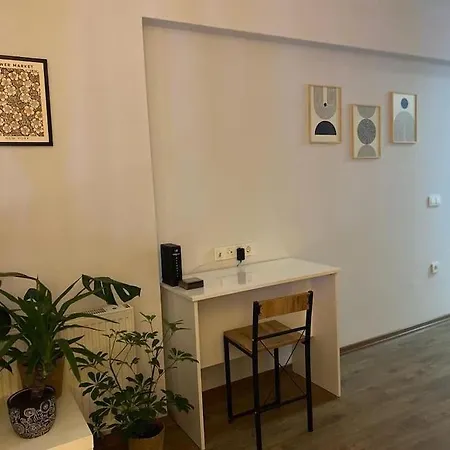 Appartement Central 1br With Balcony In A New Building *